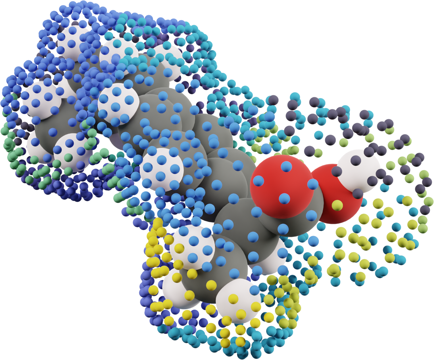 Molecular surface colored by electrostatic potential